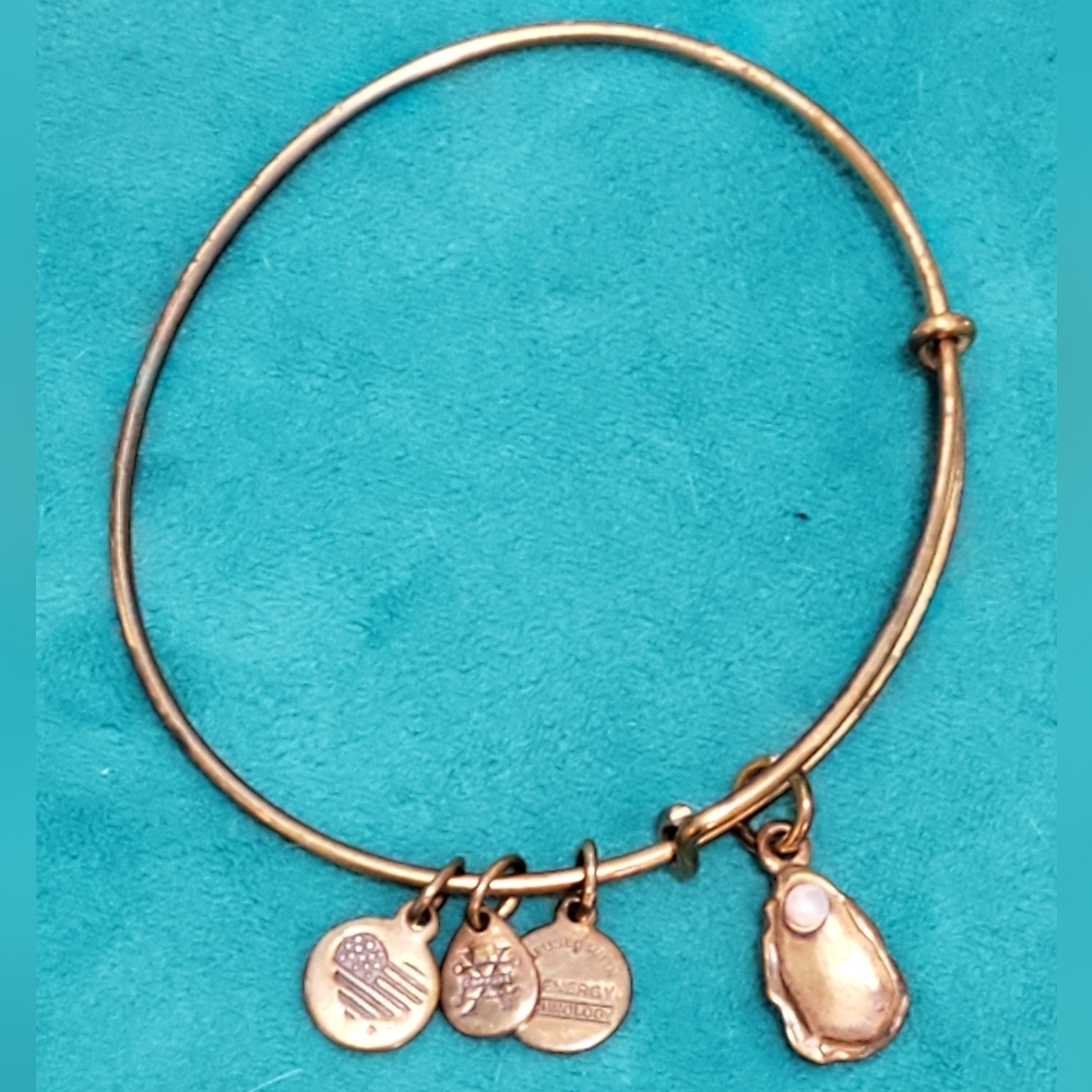 Alex & Ani oyster charm bangle bracelet in Rafaelian gold